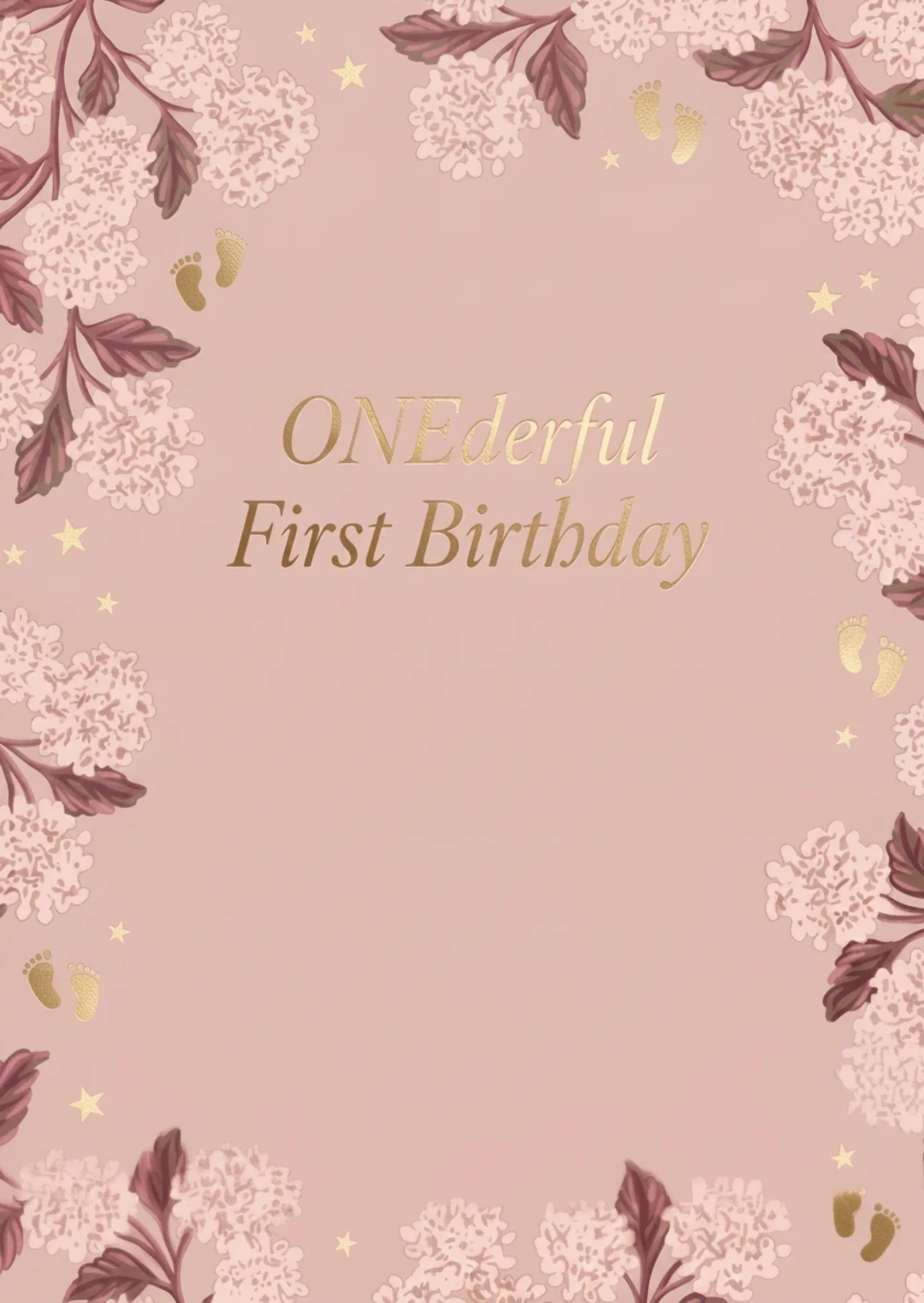 A Precious Beginning